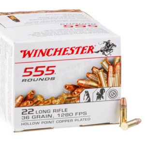 555 Rounds of .22 LR Ammo by Winchester - 36gr CPHP